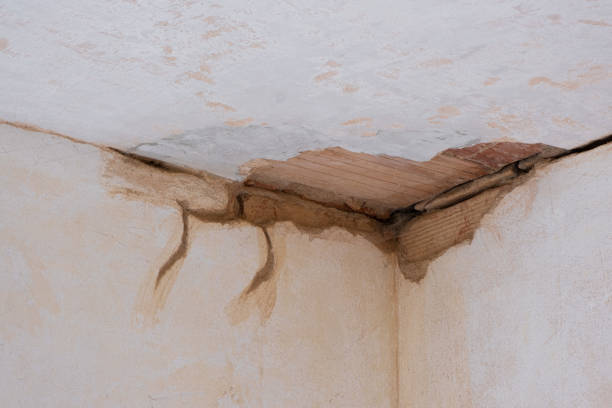 Best Flood restoration services  in Mountain Village, CO