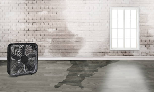 Best Water damage restoration specialists  in Mountain Village, CO
