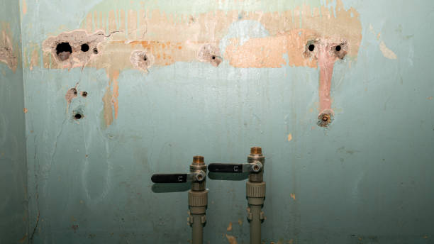 Best Water damage cleanup near me  in Mountain Village, CO
