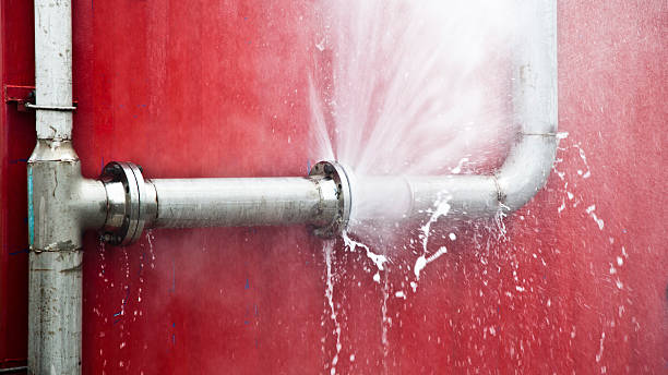 Best Local water damage restoration  in Mountain Village, CO
